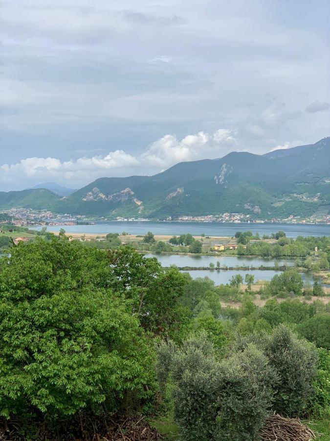 Forest * Iseo