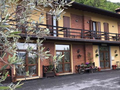 Forest Iseo