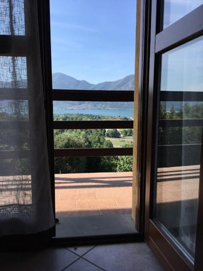 Forest Iseo